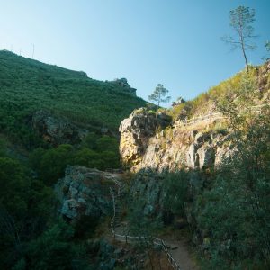 Caminhada — PR4 Mata da Albergaria